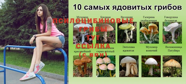 кокаин колумбия Наволоки