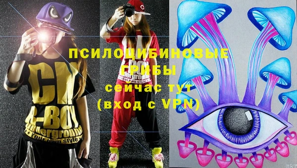 Альфа ПВП Надым