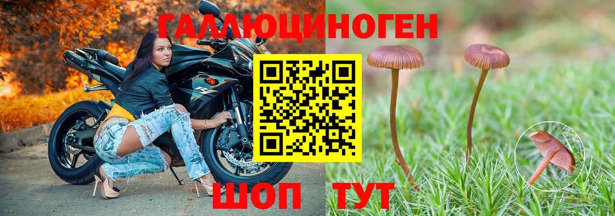 Псилоцибиновые грибы MAGIC MUSHROOMS Сарапул